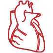 Adult and Pediatric Cardiac