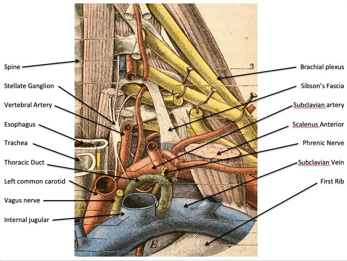 Descriptive text is not available for this image